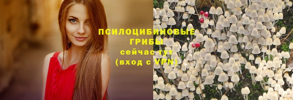 ПСИЛОЦИБИНОВЫЕ ГРИБЫ Абинск