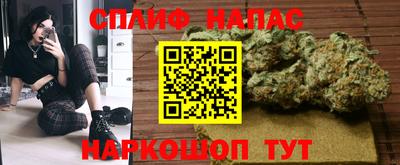 сатива Севастополь