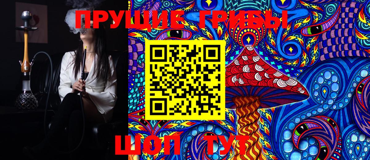 Галлюциногенные грибы Cubensis  Вход с VPN  Пенза  Псилоцибиновые грибы Psilocybine cubensis 