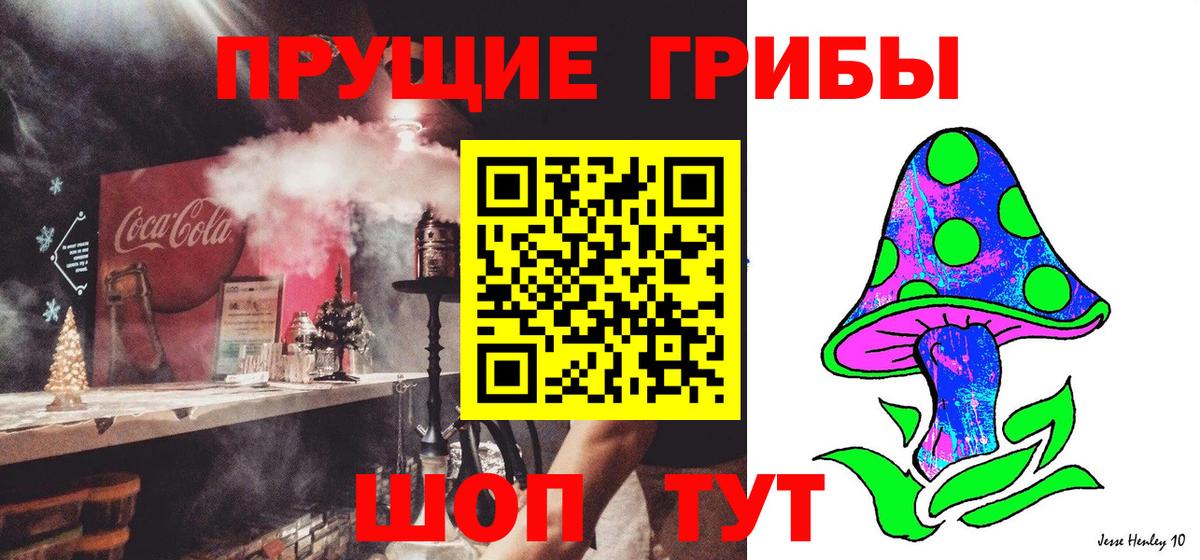 Псилоцибиновые грибы прущие грибы Пенза
